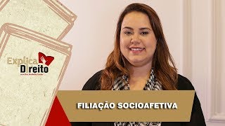 Explica Direito Filiação Socioafetiva  2019 [upl. by Raquela]