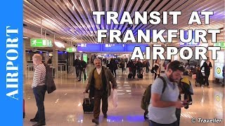 TRANSIT WALK AT FRANKFURT Airport FRA Terminal 1  Connection Flight Transfer Arriving amp Departing [upl. by Aiahc]